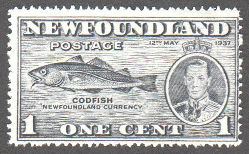 Newfoundland Scott 233 Mint F (P14.1) - Click Image to Close